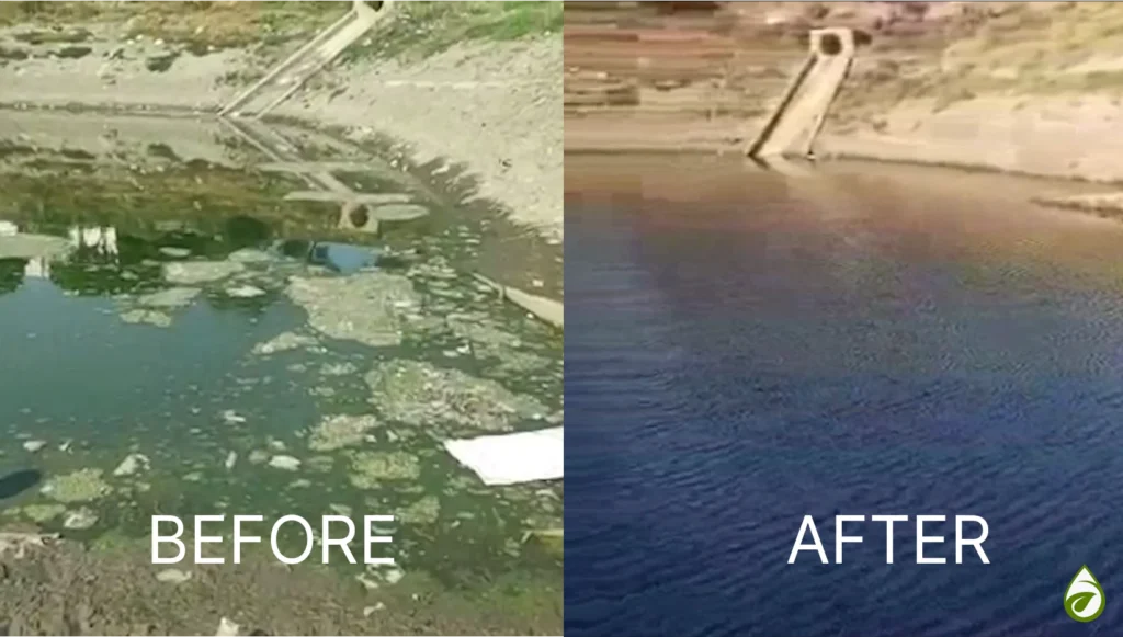 restore